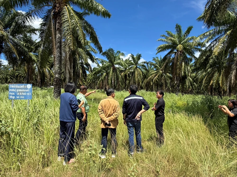 PPP Green Complex PLC and KMITL Partner to Launch “Palm University” as a Model for Sustainable Palm Development